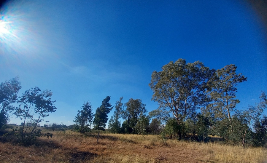 Commercial Property for Sale in Botshabelo Free State